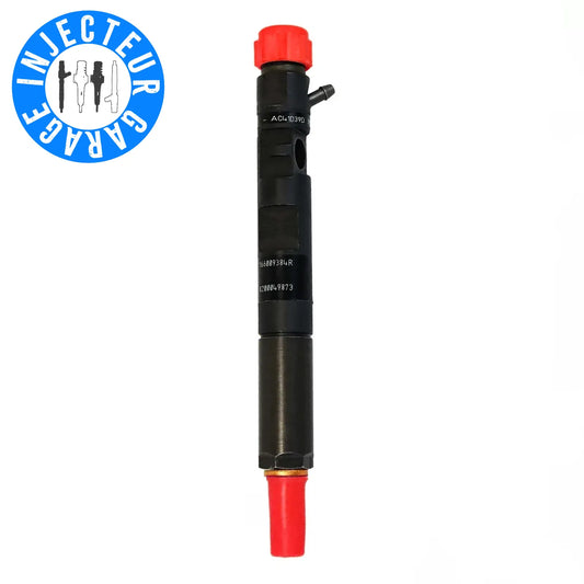 RENAULT DELPHI Injecteur 28237259 28232234 EJBR05601D 166000897R