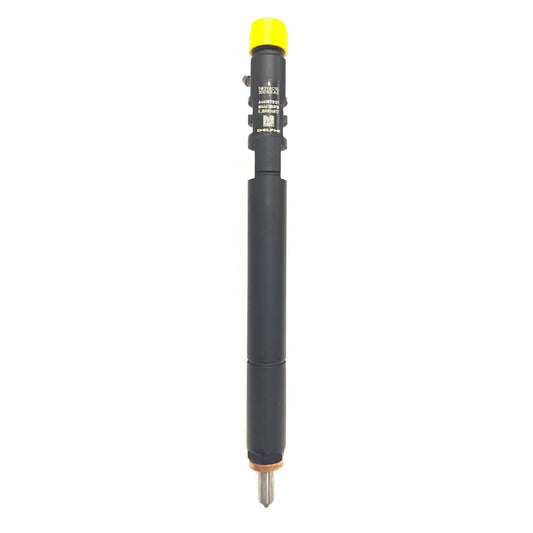 A6650170121 Common Rail Injecteur Diesel EJBR02601Z pour Delphi Kyron